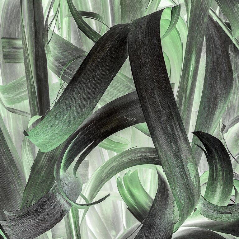 Jalpa 1 Artist Gerardo Korn - GREEN OPENING