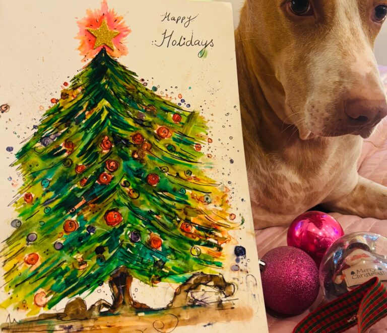 WhatsApp Image 2025-12-15 at 4.01.11 PM (5)